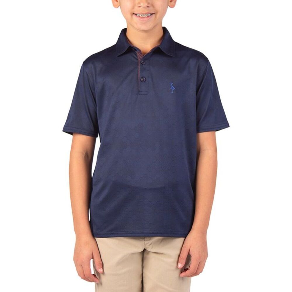 Tailorbyrd Boys  Solid Polo Shirt, Blue